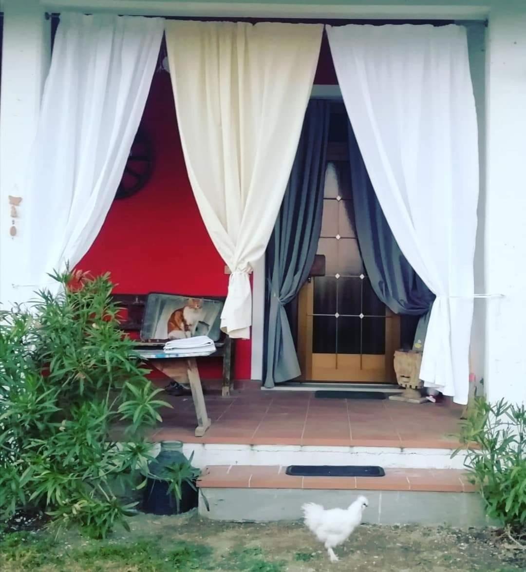 B&B Books & Bikes Buia Экстерьер фото