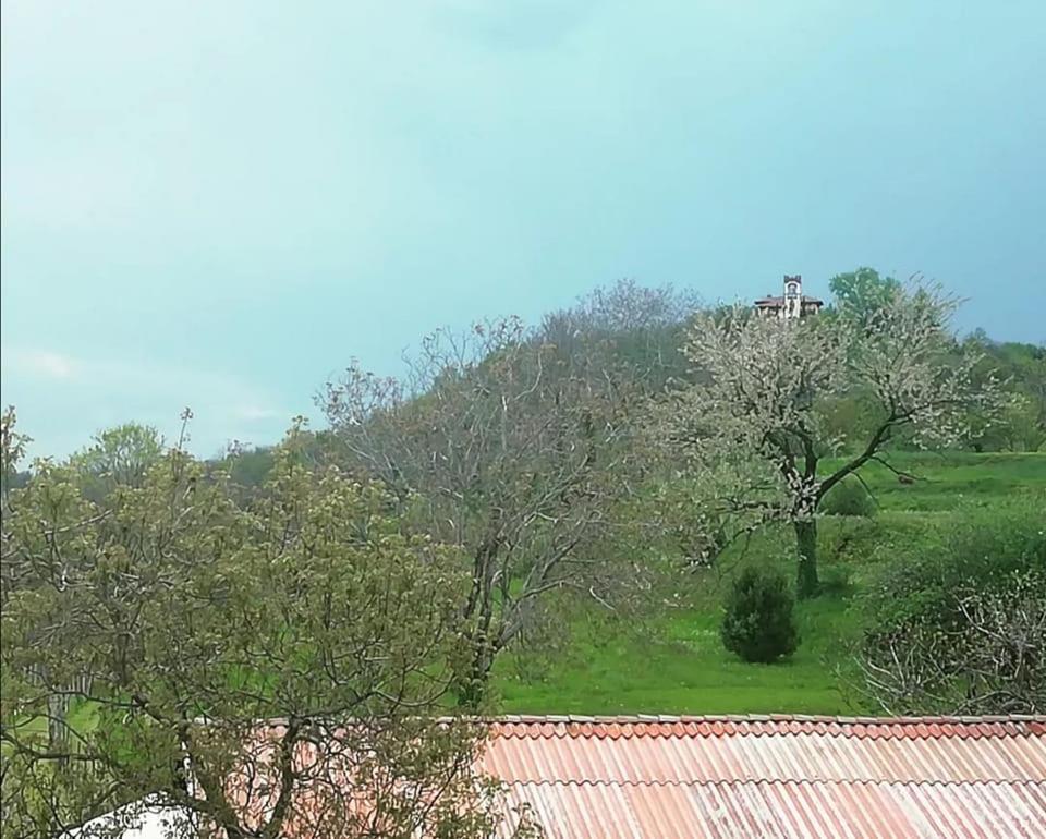 B&B Books & Bikes Buia Экстерьер фото